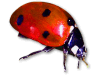 Captcha image 1962